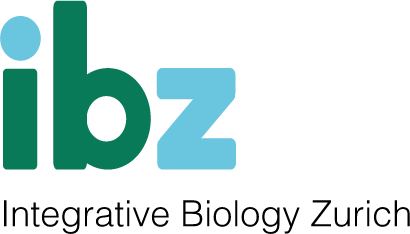 Logo from IBZ